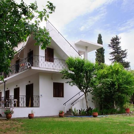 Drivas Apartments Platanias  Bagian luar foto