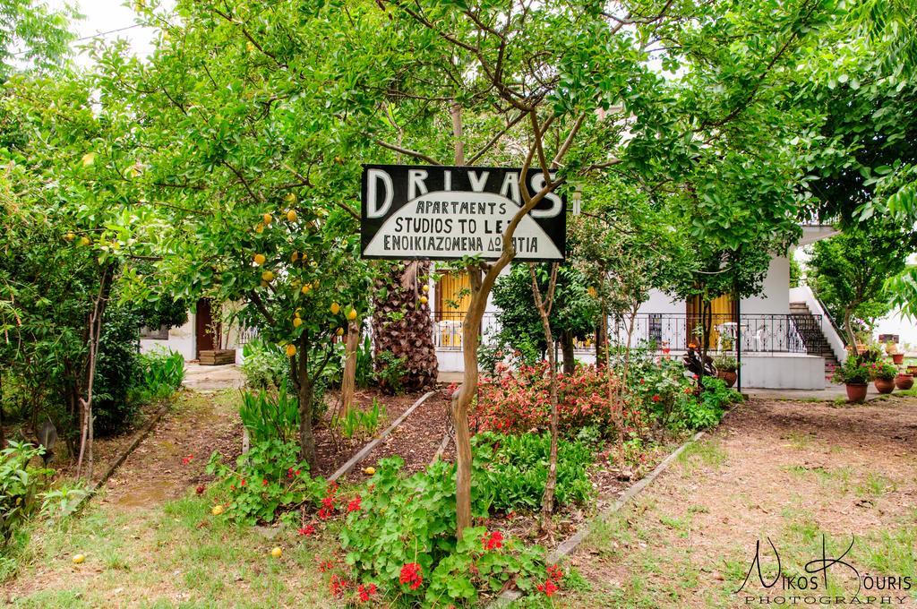 Drivas Apartments Platanias  Bagian luar foto